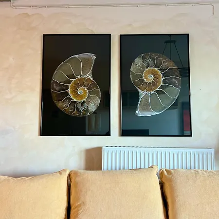 Casa Del Sol קריופיגי